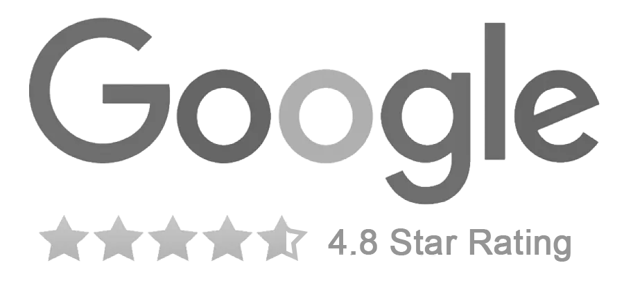 Google 4.8 Review